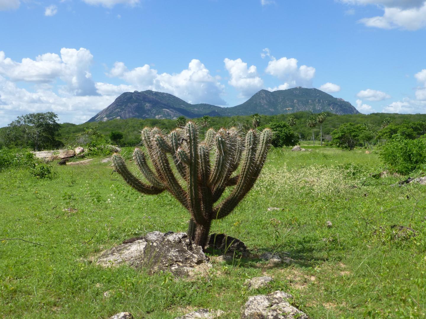 Ancient Mountain Site, Brazil