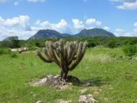 Ancient Mountain Site, Brazil