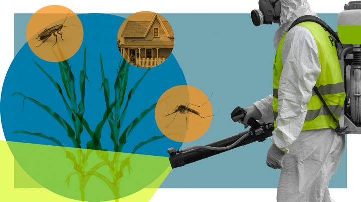 New Study Finds Harmful Pesticides Lurking in NY Homes