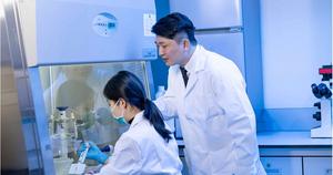 PolyU research reveals hidden health risks from urban airborne microbes: low concentration of bacterial toxins may trigger nearly 20% of inflammatory responses, while drug-resistant fungi may spread with the wind