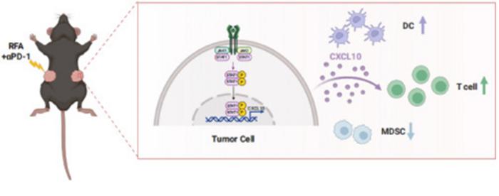 GRAPHICAL ABSTRACT: RFA + ANTI-PD-1 THERAPY FOR HCC