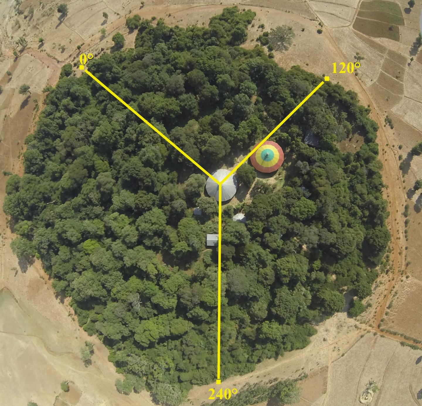 Culturally-Sensitive Conservation Approaches Needed to Protect Ethiopian Church Forests