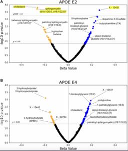 APOE genotype and biological age impact inter-omic associations related to bioenergetics