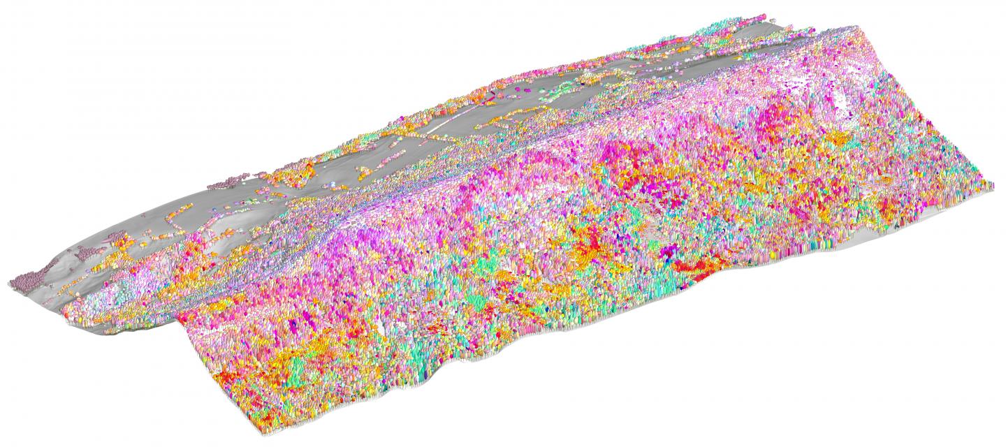 Remote Sensing of Biodiversity