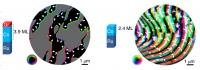 SPLEEM Images of Magnetization in Ultrathin Layered Materials