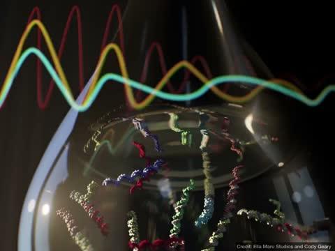 Programming a Chemical Oscillator