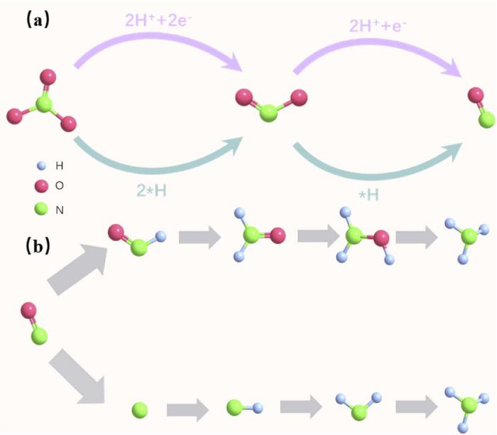 The process of NO3−reduction to NO. (b) The reaction pathway of NO undergoing further hydrogenation to NH3