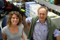 Misty Riddle and Joel Rothman, University of California -- Santa Barbara