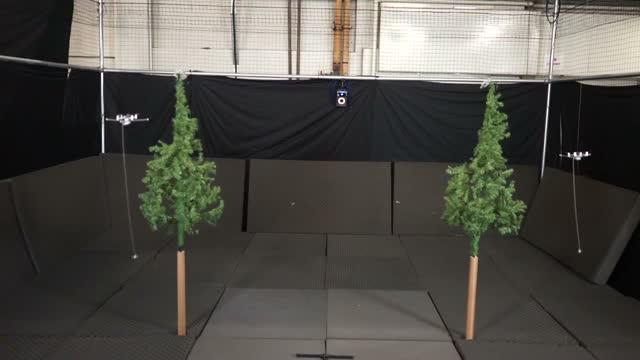Bio-inspired Robot Perches, Resumes Flight (3 of 5)