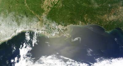 MODIS Image on the Terra Satellite Captured a Wide-view Natural-color Image of the Oil Slick