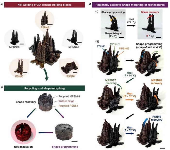 Modular assembly, shape-morphing, and recycling of 3D-printed PSN and MPSNs.