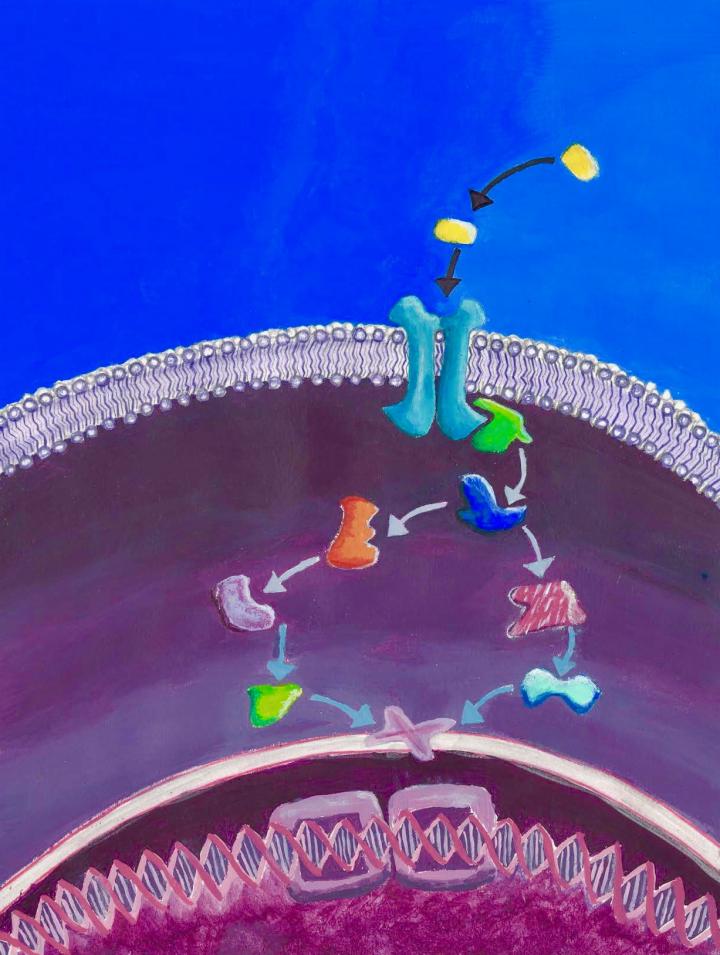 Targeting Membrane Protein Interactions