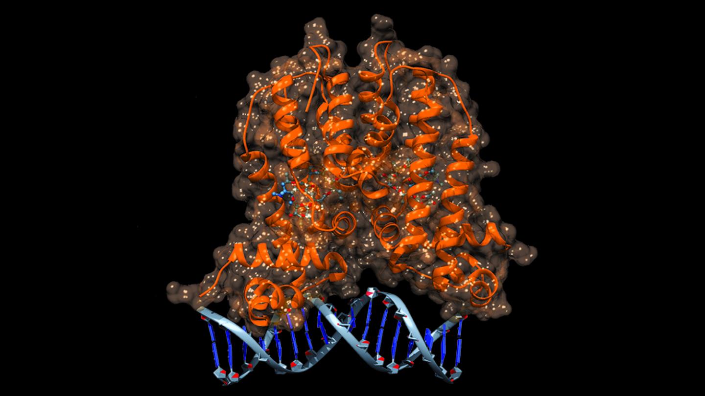 MphR Biosensor