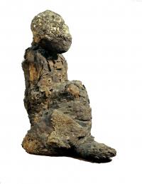 Specimen EA6736.