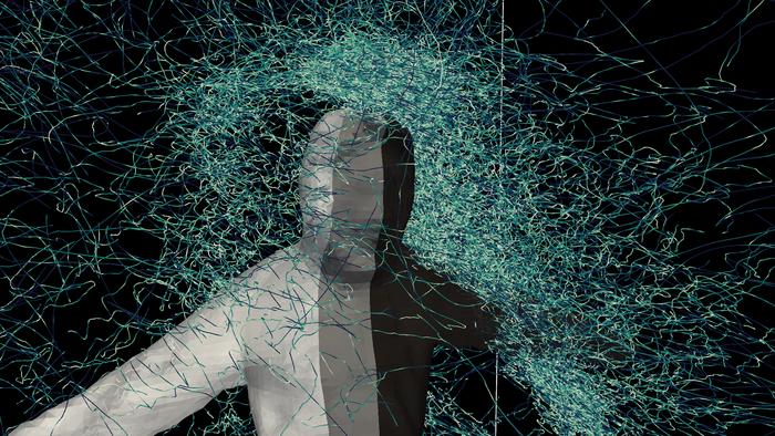 Mosquito trajectory around a person (1)