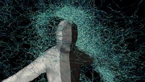 Mosquito trajectory around a person (1)