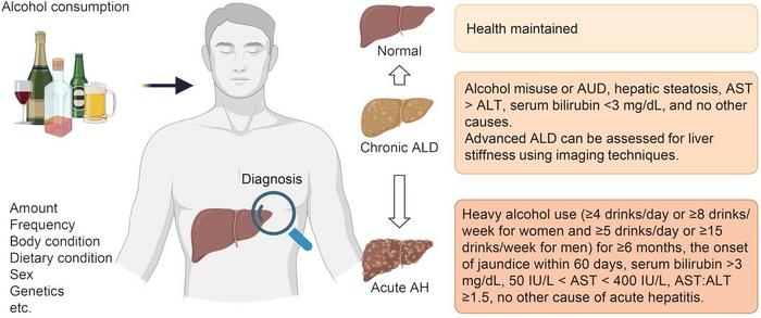 Current diagnosis criteria for ALD and AH.