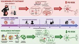 PD trajectory is dynamic and modifiable across the entire lifespan.