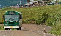 Denali Road
