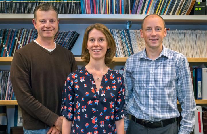 Len Pennacchio, Diane Dickel, and Axel Visel, DOE/Lawrence Berkeley National Laboratory