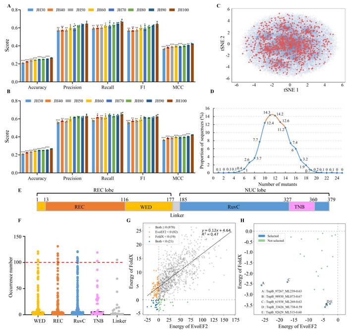 Identifying plant salt-stress related genes via coevolution analysis and machine learning