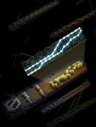 DNA Computation
