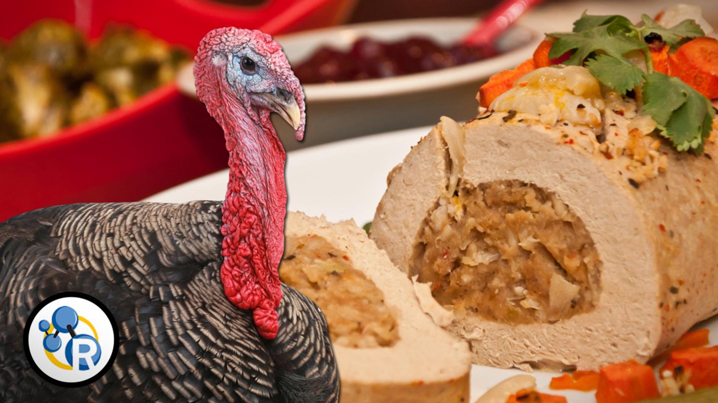 The Quest for Tasty Fake Meat