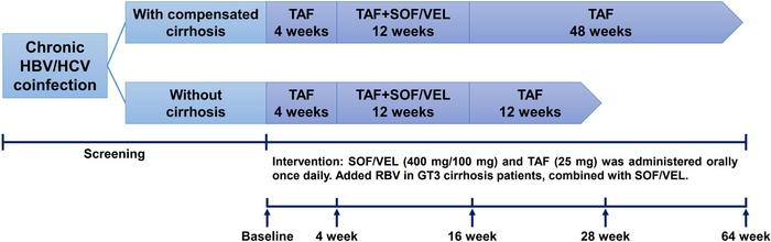 Evaluation of the Safety and Efficacy of SOF/VEL Treatment and Pre-treatment of TAF in Patients with Chronic Hepatitis B Virus/Hepatitis C Virus Coinfection