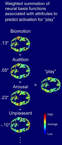 Brain Activation Patterns for the Word 'Play'