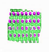 3-D Visualization of Templated Block Copolymer