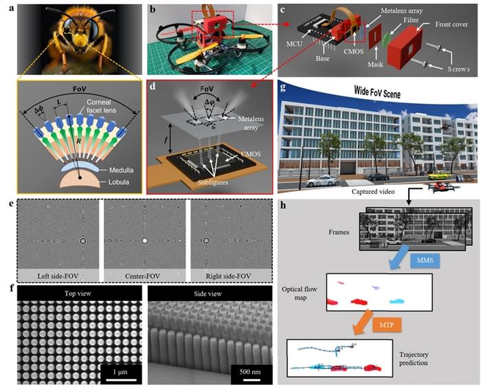 Figure | Architecture and working principle of the proposed nanophotonic sensor
