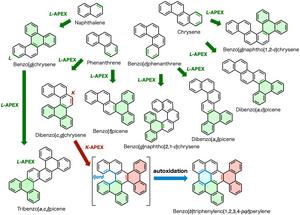 Reaction scheme of large PAH molecules generated from L-APEX reactions followed by additional L-APEX or K-APEX reactions