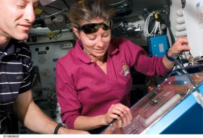 Tracy Caldwell and Charles Hobaugh, NASA