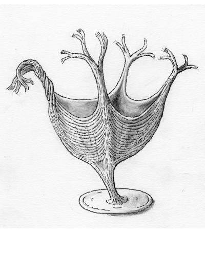 Artist Reconstruction of <i>H. quadriformis</i>