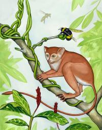 Artist's Conception