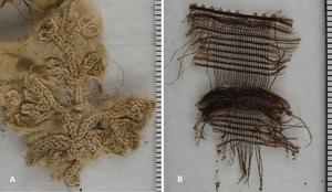 Fabric found in the mummy's abdominal cave