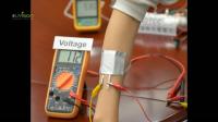 DTCC Converting Body Heat into Electricity