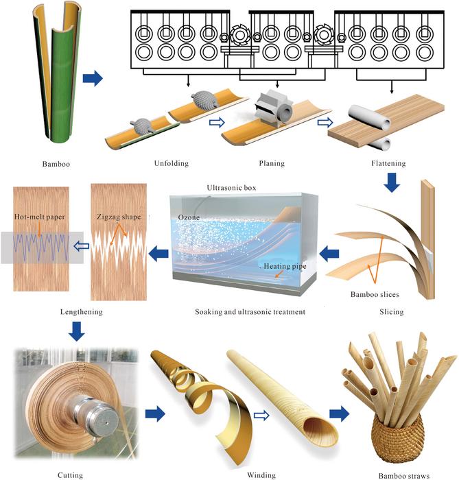 Eco-friendly innovation: Industrial‐scale all‐natural bamboo drinking straw inspired by bamboo's flexibility and toughness