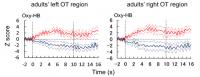 Time Course of Brain Activity, OT Regions