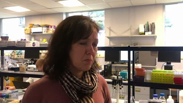 The Research Team Discuss the Invention