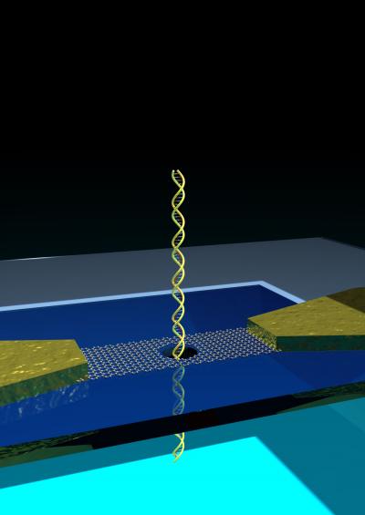 3D-Model of a Nanopore-Bearing Graphene Ribbon