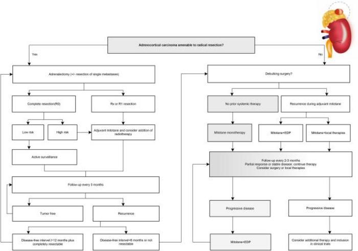 Treatment flow chart for adrenocortical carcinoma.