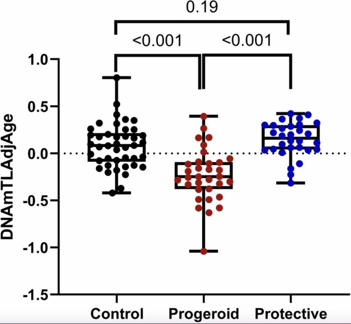 Investigating telomere length in progeroid syndromes: implications for aging disorders