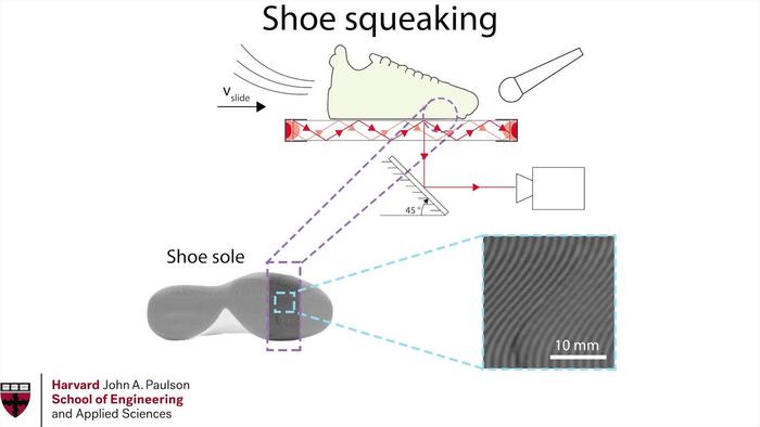 shoe interface