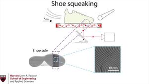 shoe interface