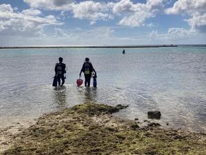 Fieldwork in Sunabe