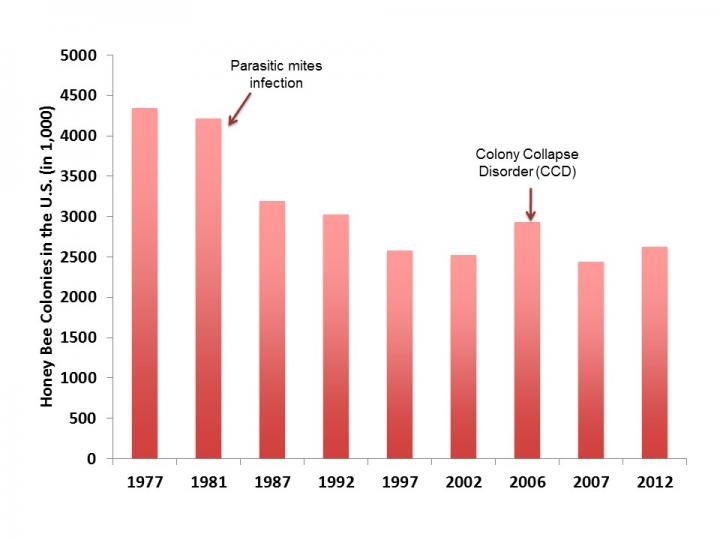 Decline in Honey Bee colonies