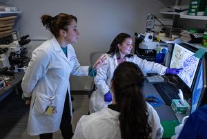 Scientists look at neuropathology images