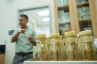 Polak Lab