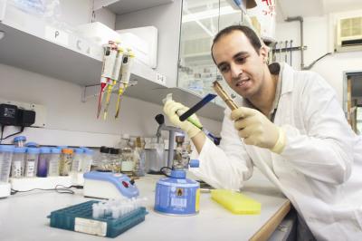 Professor Oren Froy, Hebrew University of Jerusalem